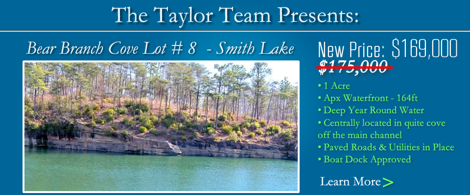 Bear Branch Cove Lot 8 For Sale Smith Lake